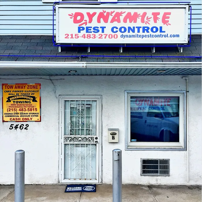 Dynamite Pest Control Picture 4