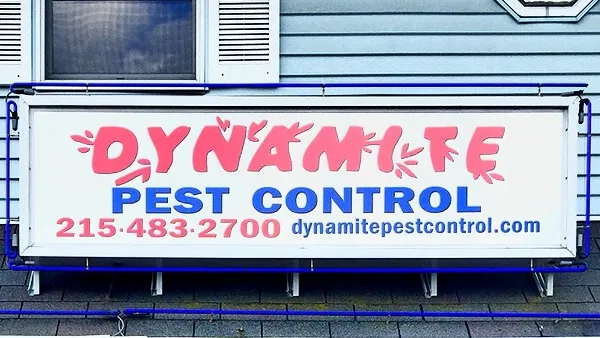 Dynamite Pest Control Picture 2