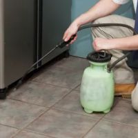 Enterprise Exterminating & Supply Company, LLC ico