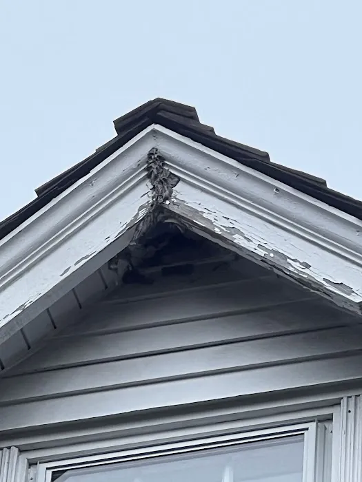 Northeast Exterminators Picture 7