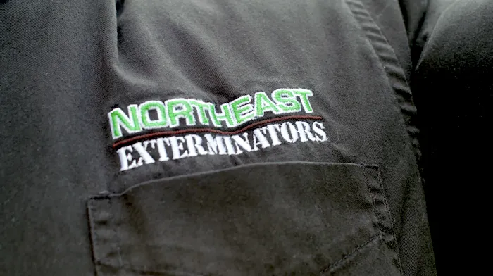 Northeast Exterminators Picture 4