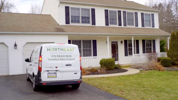 Northeast Exterminators Picture 6