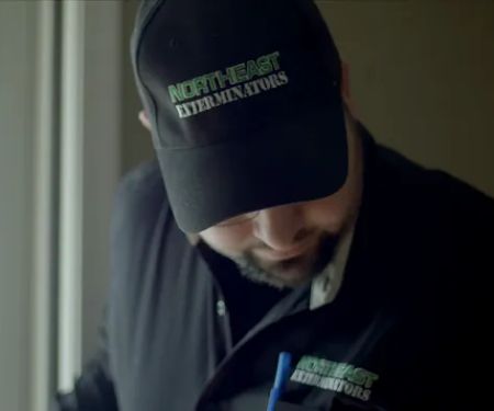 Northeast Exterminators