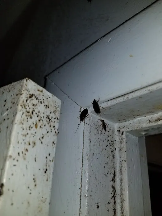 Next Generation Pest Control LLC Picture 5