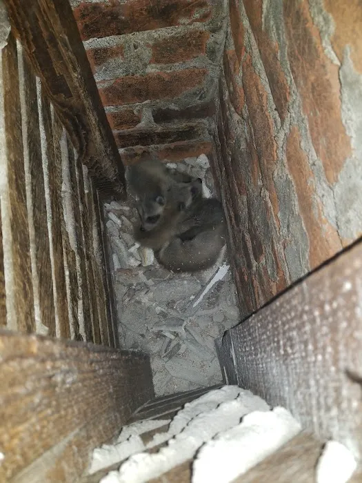 Next Generation Pest Control LLC Picture 3