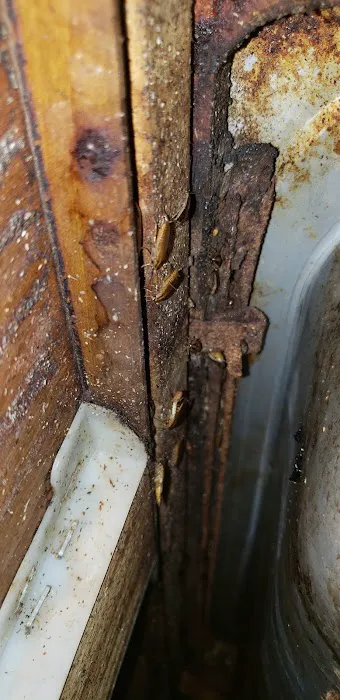 Next Generation Pest Control LLC Picture 4
