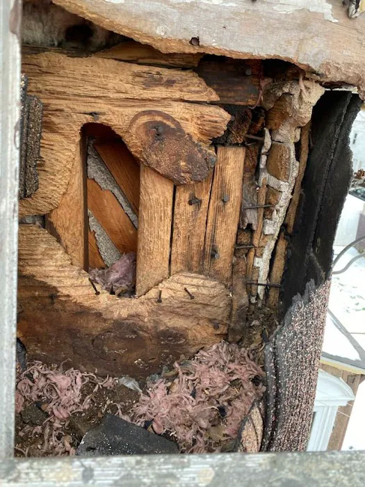 Next Generation Pest Control LLC Picture 10