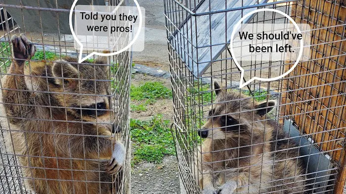Next Generation Pest Control LLC Picture 9