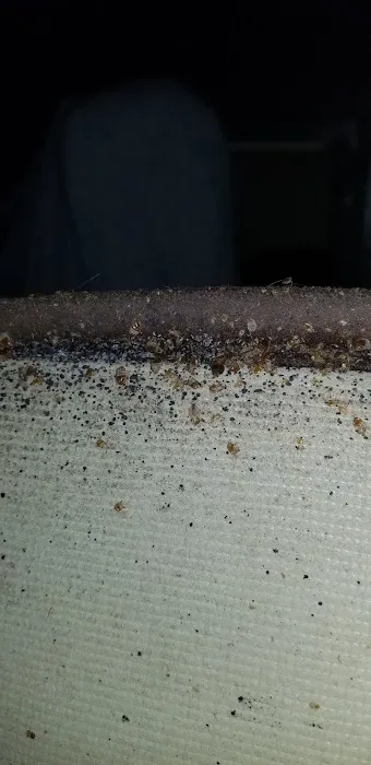 Next Generation Pest Control LLC Picture 6