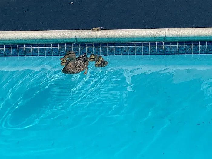 Next Generation Pest Control LLC Picture 8