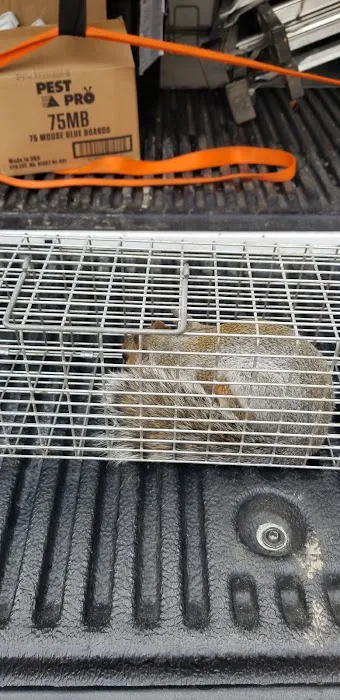 Next Generation Pest Control LLC Picture 7