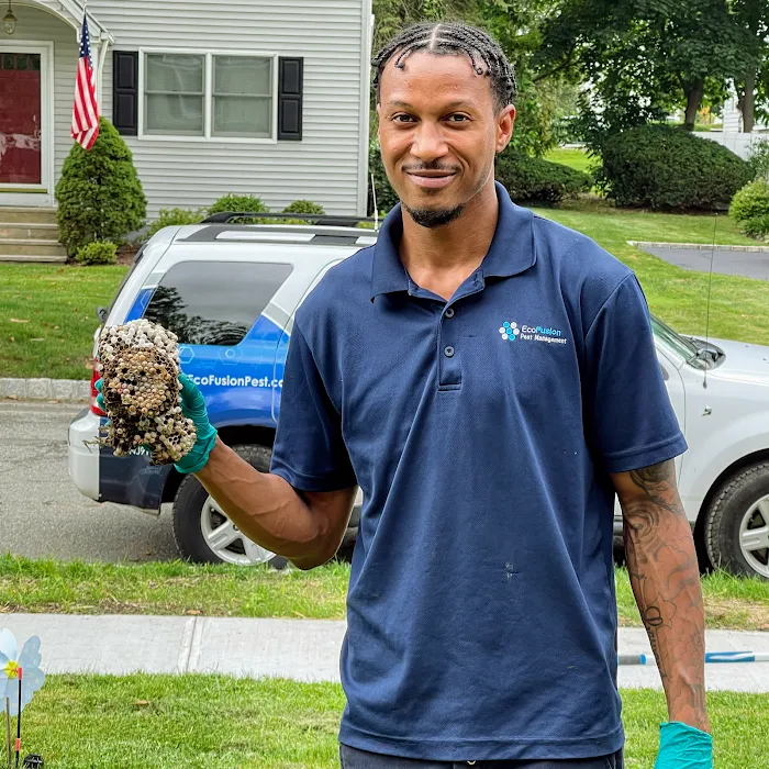 EcoFusion Pest Control Picture 2
