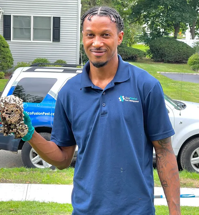 EcoFusion Pest Control Picture 6