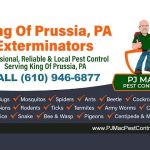 PJ Mac Pest Control