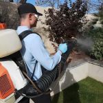 EcoShield Pest Solutions