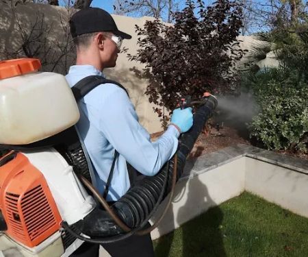 EcoShield Pest Solutions