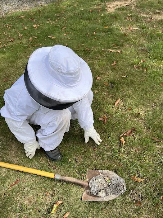 EcoShield Pest Solutions Picture 10