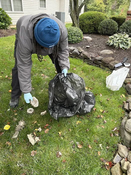 EcoShield Pest Solutions Picture 7