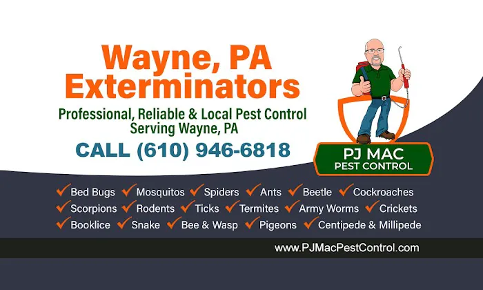PJ Mac Pest Control Picture 5