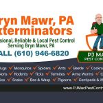 PJ Mac Pest Control