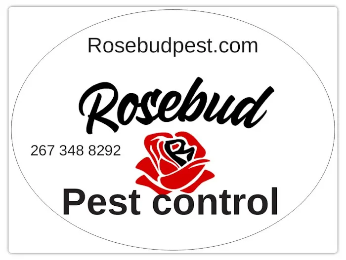 Rosebud pest control Picture 2