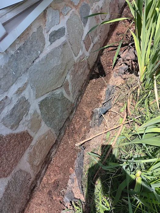 Rosebud pest control Picture 5