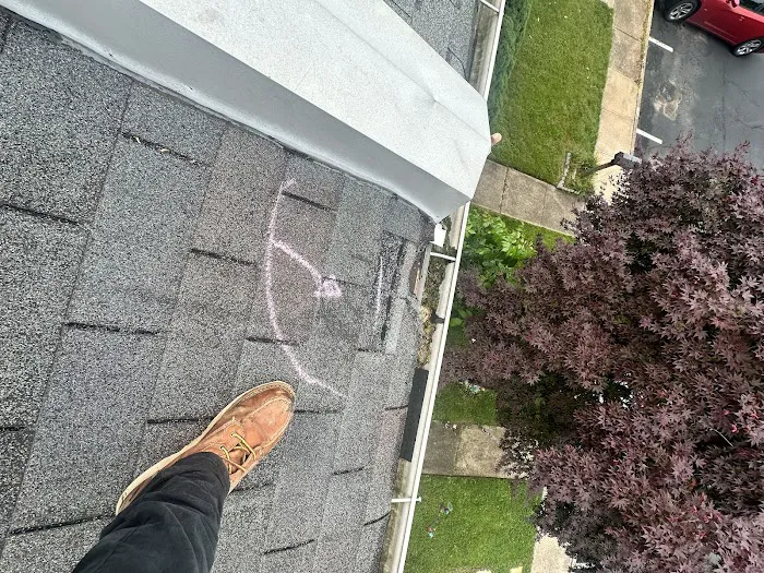 TKO Pest Control, Inc. Picture 8