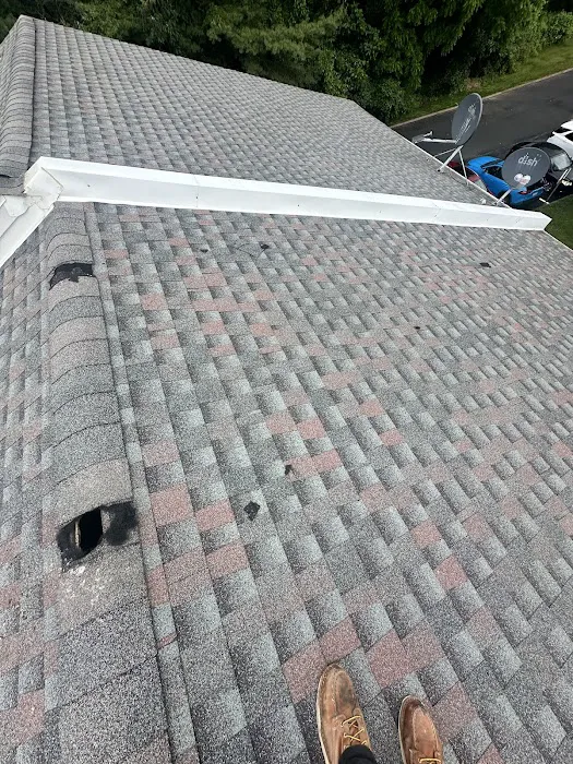 TKO Pest Control, Inc. Picture 2