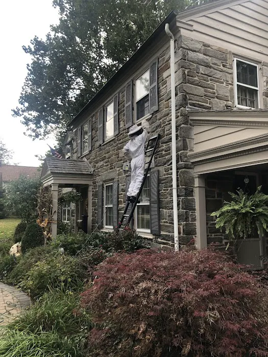 TKO Pest Control, Inc. Picture 6