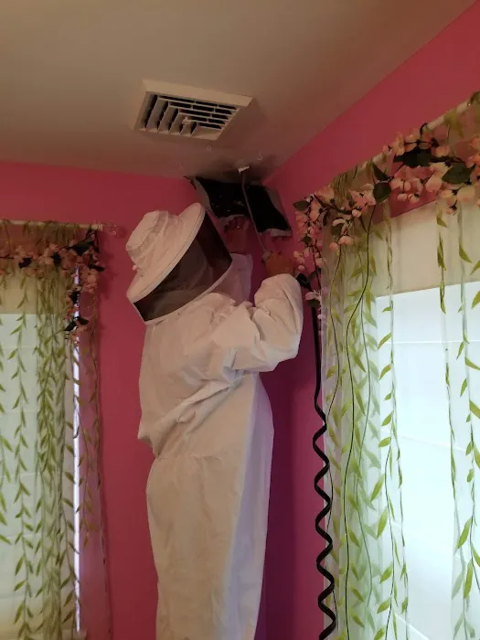 TKO Pest Control, Inc. Picture 9