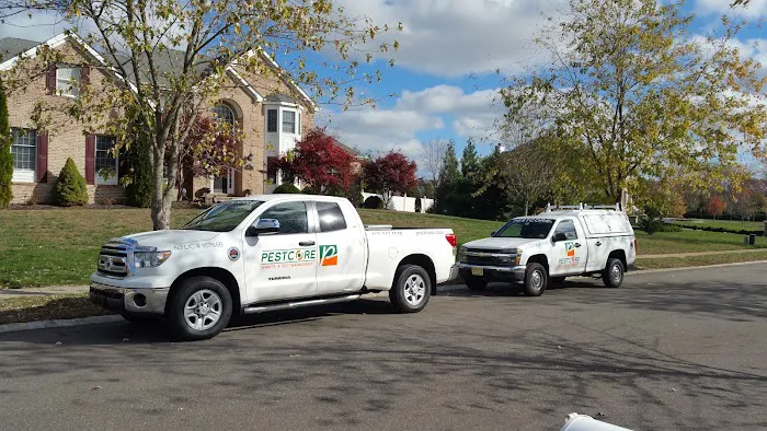 Pestcore Pest Control Picture 2