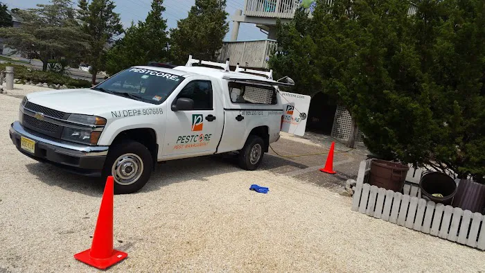 Pestcore Pest Control Picture 1