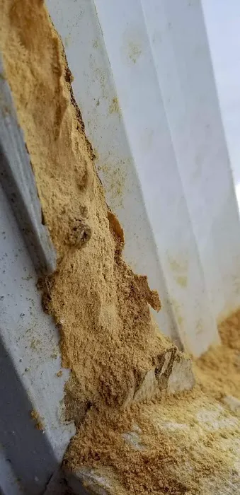 Professional Pest Control Inc. Picture 8