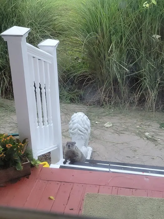 Professional Pest Control Inc. Picture 9