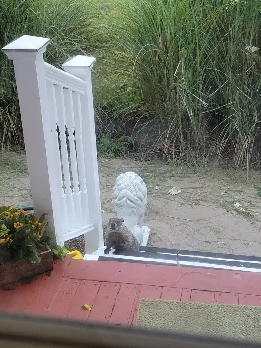 Professional Pest Control Inc. Picture 7