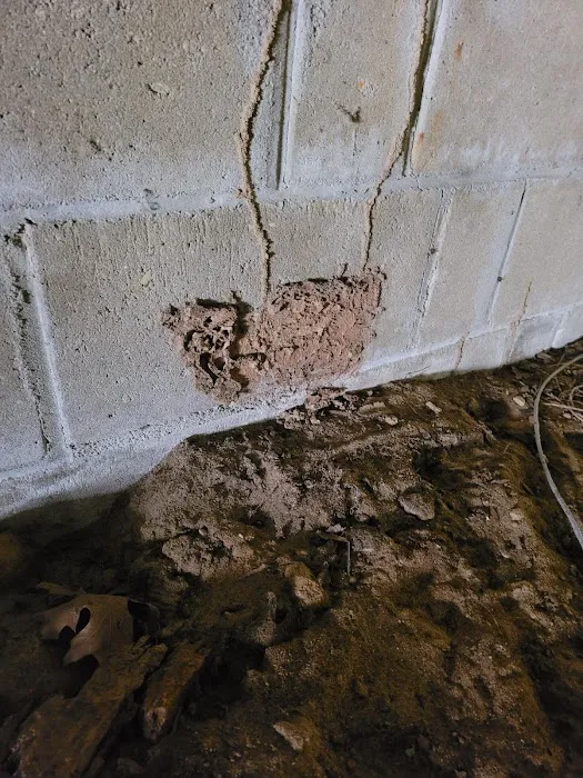 Arcadian Pest & Wildlife Services Picture 7