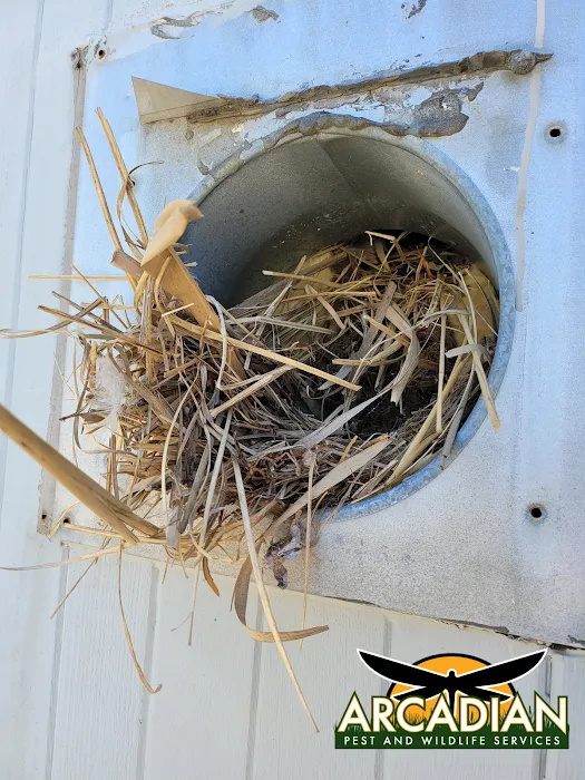 Arcadian Pest & Wildlife Services Picture 8