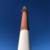Andrea's Exterminating & Trmte ico