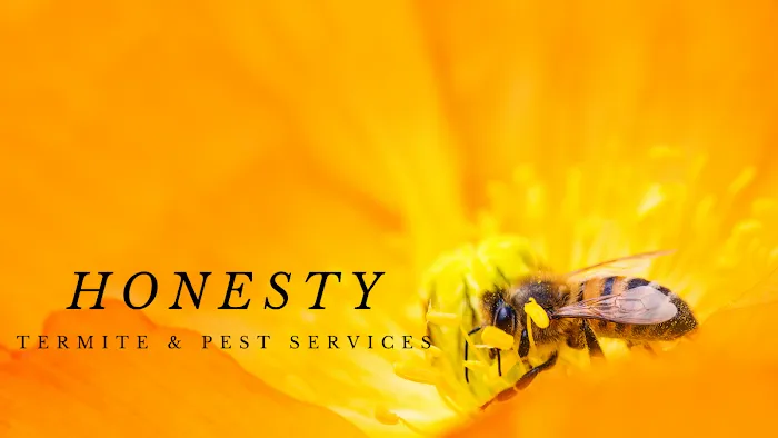 Honesty Termite and Pest Services Picture 7