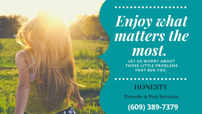 Honesty Termite and Pest Services Picture 2