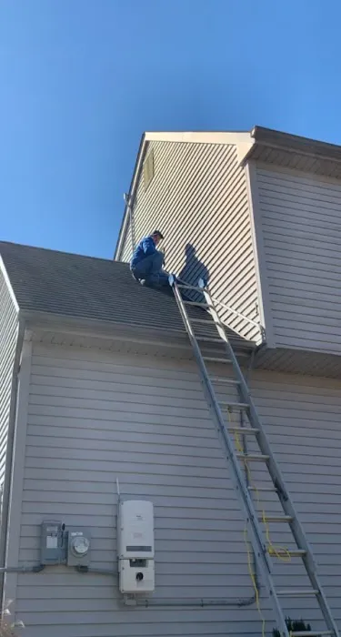 Honesty Termite and Pest Services Picture 1