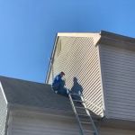 Honesty Termite and Pest Services