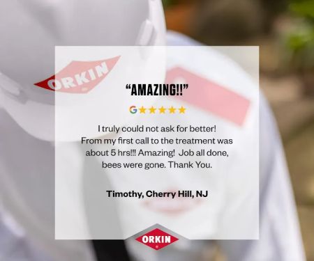 Orkin
