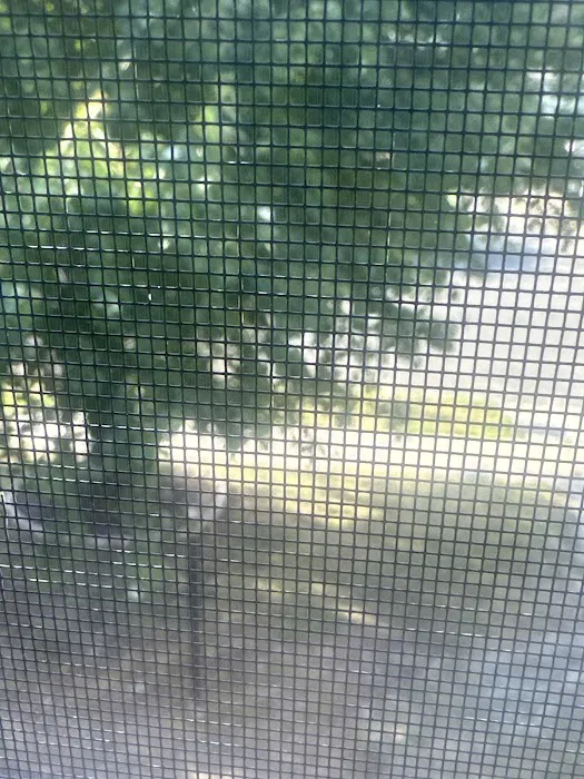 Orkin Picture 9