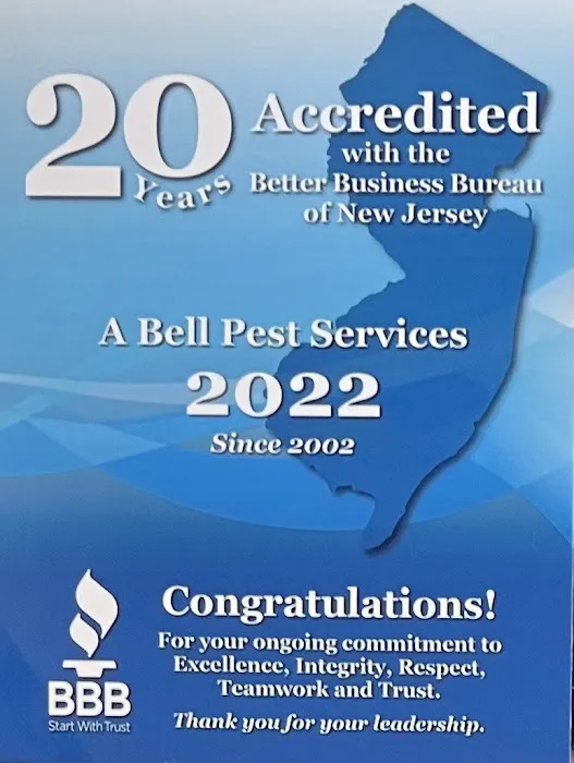 A Bell Pest Services Picture 2
