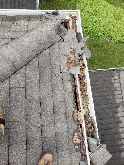 Guardian Preventative Termite & Pest Control Picture 7