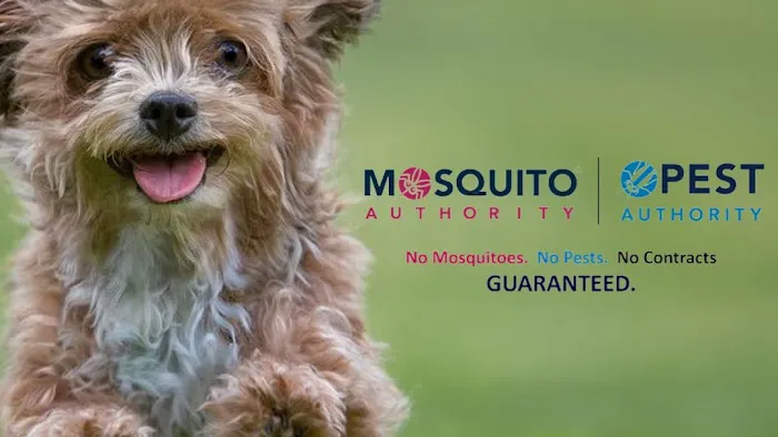 Mosquito Authority Picture 2