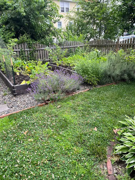 Bee Friendly Pest Control Picture 3