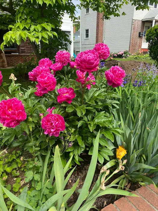 Bee Friendly Pest Control Picture 2