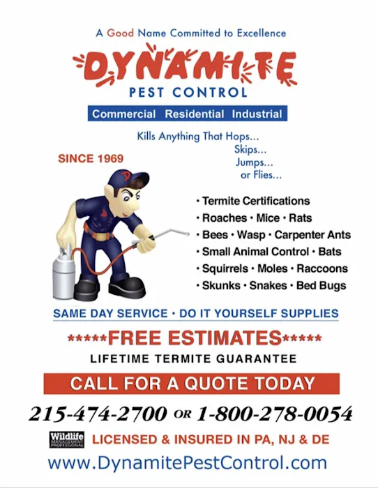 Dynamite Pest Control Picture 3